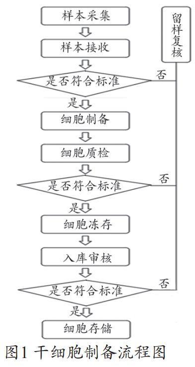 干細(xì)胞制備流程圖